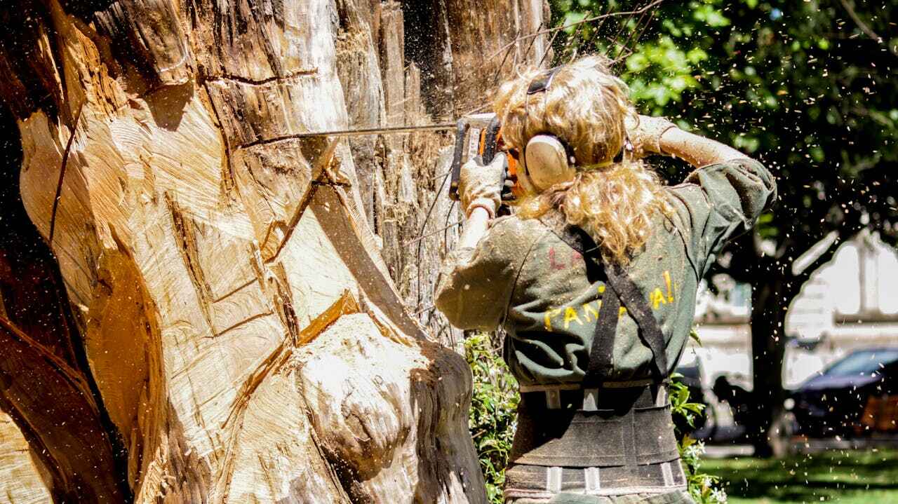 Best Tree Trimming Near Me  in Lester Prairie, MN